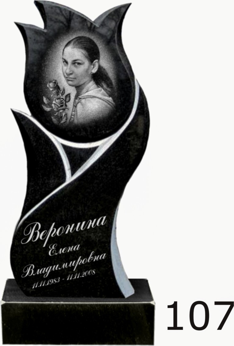 Гранитный памятник №107