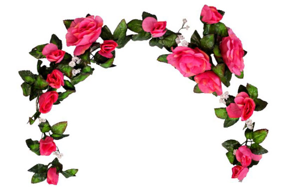 Венчик премиум