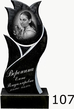 Гранитный памятник №107