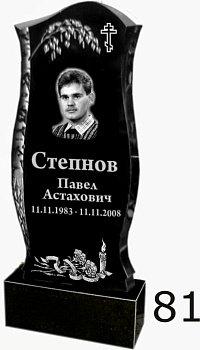 Гранитный памятник №81