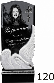Гранитный памятник №120