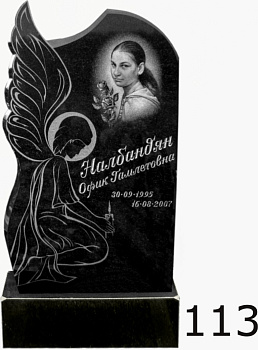 Гранитный памятник №113